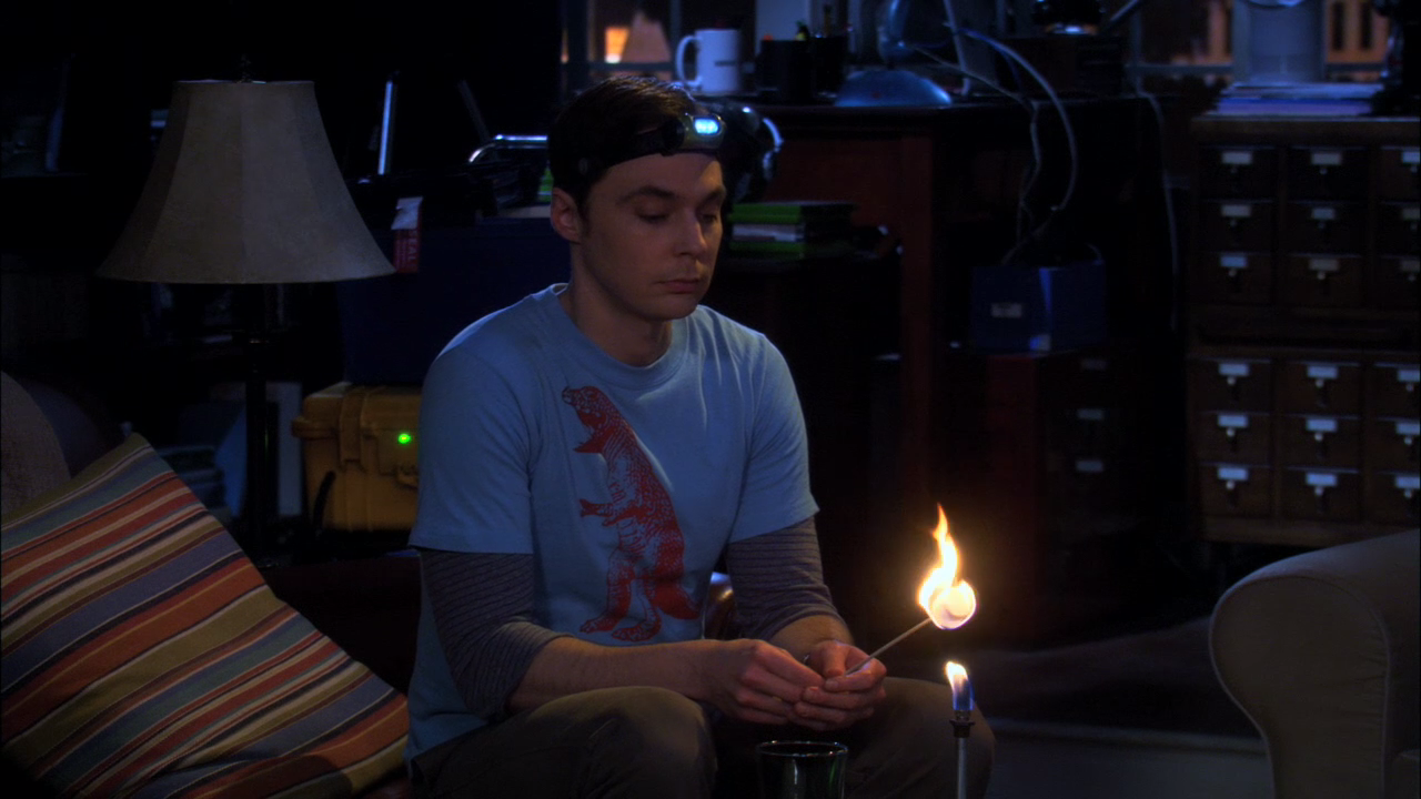 The Big Bang Theory - 5x15 - The Friendship Contraction